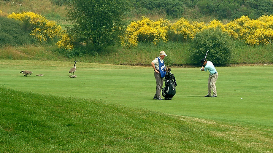 Photographe golf